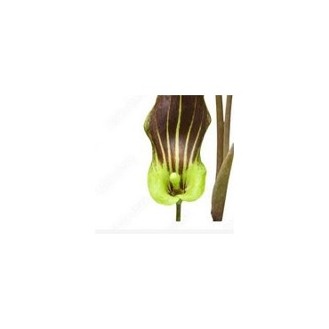 Test - kombinationsprodukt